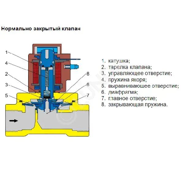 Ev R Ptfe