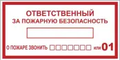 Знак пластик F20 "Ответственный за пожарную безопасность" (150x300) ГОСТ 12,4,026-2015 PROxima, EKF